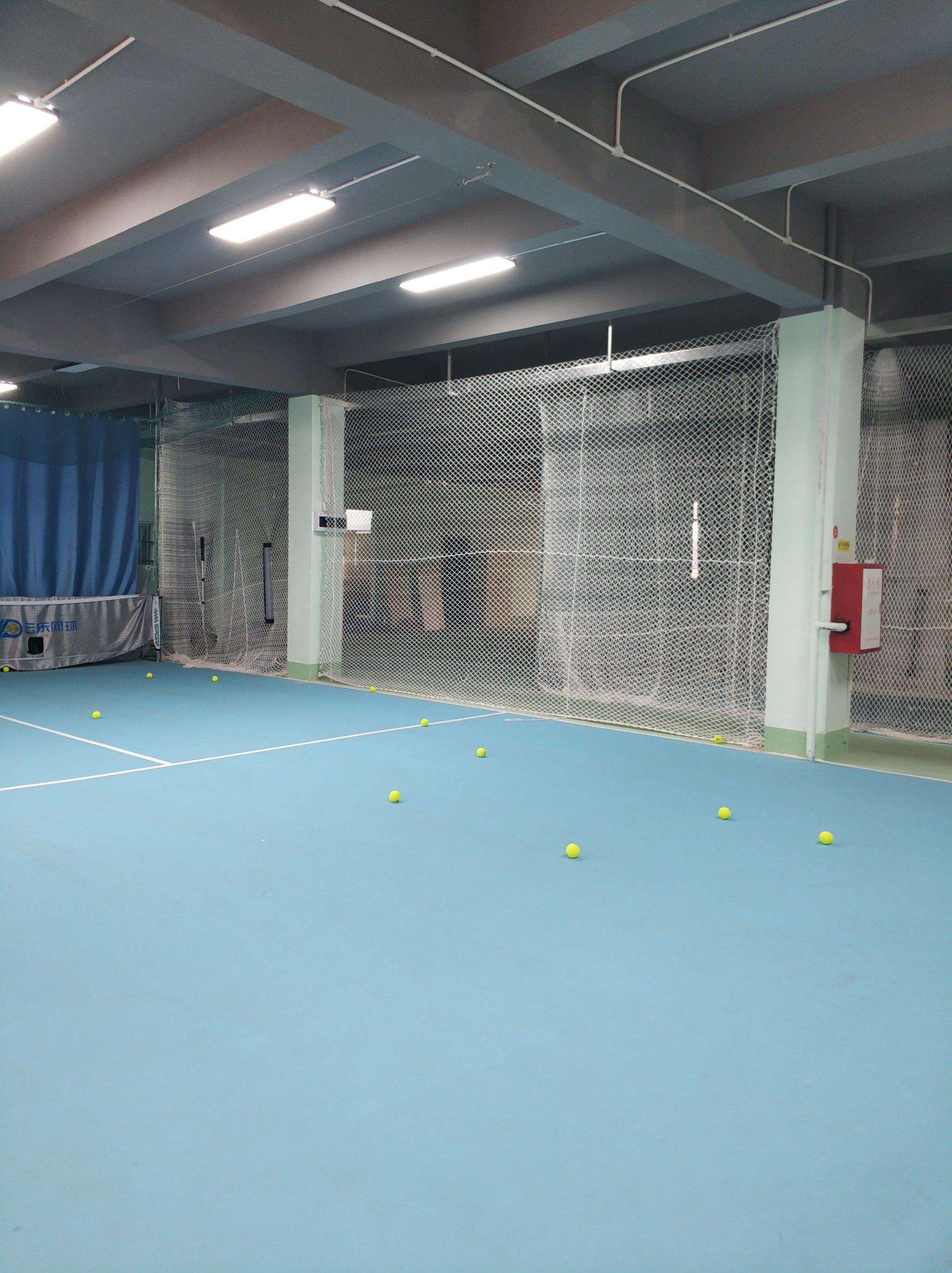 强壮的身体 强壮的身体