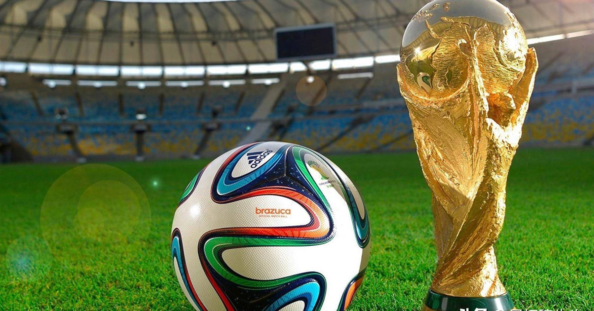 也体现了他 也体现了他