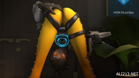 多样性与竞 多样性与竞